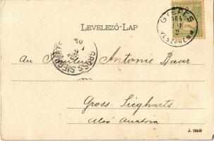 1904 Doba, Somló hegy, Somlói vár, Somlóvári Gróf Erdődy kastély. Kiadja Rosenberg Zsigmond. Art Nou...