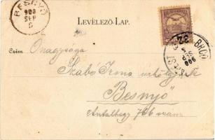 1900 Dombóvár, Római katolikus templom, Főszolgabírói hivatal. Art Nouveau, floral (apró lyukak / ti...