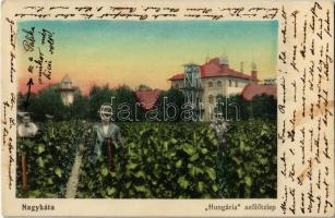 1915 Nagykáta, Hungária szőlőtelep. Faragó Lajos utóda kiadása