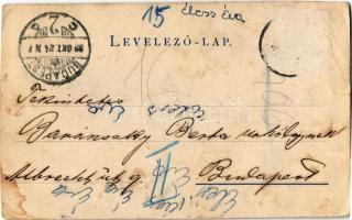 1899 Mohács, II. Lajos király szobra a Cselepataknál. Kiadja Rosenthal Márk (vágott / cut)