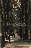 1925 Stubnyafürdő, Túróchévíz, Stubnianske Teplice, Turcianske Teplice; Promenáda / park sétány. Kiadja Leop. Tomaschoff / promenade