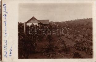 1906 Nagyvárad, Oradea; Bartsch család szőlőbeli ház / vineyard villa. photo