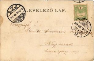 1902 Budapest, szőlőtelep. photo  (EK)