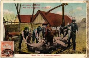 1911 Disznóölés. A magyar népéletből / Schweineschlachtung. Aus dem ungarischen Volksleben / Hungarian folklore, pig slaughter. TCV card