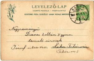 1908 Kassa, Kosice; Nagy templom, dóm. Kiadja Feitzinger Ede 1902/12. / cathedral (kopott sarkak / w...