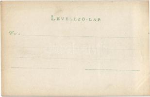 ~1900 Hátszeg, Hateg; látkép templomokkal / general view with churches. photo