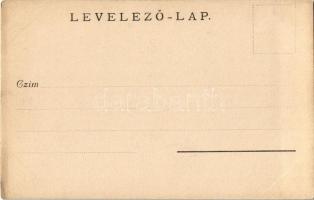 ~1900 Hátszeg, Hateg; park / park. photo