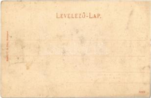 Kisbáb, Kis-Baáb, Maly Báb (Báb); Kastell, Partie aus dem Wald / kastély, erdő. Kiadja Kanitz C. és ...