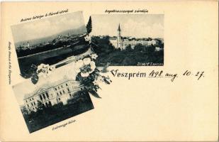 1898 Veszprém, látkép a balatonfüredi útról, Angolkisasszonyok zárdája, Vármegye háza. Kiadja Krausz A. fia, floral (EK)