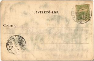 1904 Tátra, Magas Tátra, Vysoké Tatry; Csorba tó, Szentiványi villa. Kiadja Divald Károly 655. sz. /...