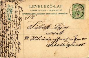 1906 Barlangliget, Höhlenhain, Tatranská Kotlina (Tátra, Magas Tátra, Vysoké Tatry); Hohenlohe herce...