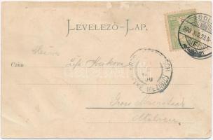 1900 Zsolna, Sillein, Zilina; Gymnásium / gimnázium. Kiadja Gansel Lipót 105. / high school (r)