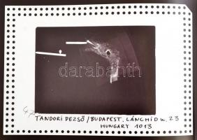 Gyetvai Ágnes: Šwierkiewicz Róbert : Önfejtágító mail-art project. 1981. Bp.,2010, Saranszki Art Sol...