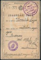 1913 Igazolási jegy vállalati igazgató részére
