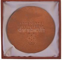 ~2000. "Zsolnay Városszépítő Városvédő Emlékérem / Pécs Város Szépítéséért és Védelméért" ...