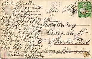 Budapest XII. Zugligeti villamos végállomás, várakozó villamosok, létra egy villamosnak döntve, átjá...