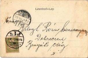 1902 Kolozsvár, Cluj; Városháza és Deák utca, Tamási Tamás és Fia, Stief Jenő és Társa üzlete, kávéh...