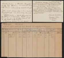 cca 1935 Balatoni hajózással kapcsolatos iratok:  A balatoni téli kikötők,  kikötőmesteri jelentések...