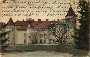 1907 Nagykároly, Carei; Gróf Károlyi kastély. Kiadja Csókás László / castle (EK)