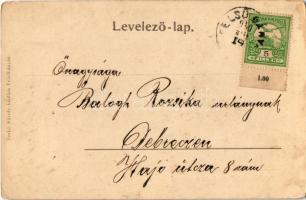 1910 Felsőbánya, Baia Sprie; Patak rész a keringőnél, fahíd. Túry József amatőr felvétele, Szabó Kár...