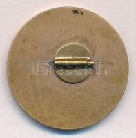 1938. "Zalai Szeretet Érem" fém jelvény, tű hiányzik Szign.: F. Fülöp E.(5,84g/23mm) T:2