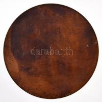 2005- . "VOSZ Jász-Nagykun-Szolnok Megyei - Príma Díj" egyoldalas Br plakett. Szign.: PGB ...