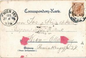 1899 Jihlava, Iglau; Typen aus dem Iglauer Berghäuerzug, Glück Auf! Lith. Anst. Hubert Köhler. Art N...