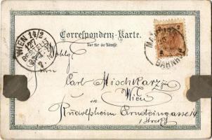 1893 (Vorläufer!!!) Maribor, Marburg an der Drau; Tegetthoff Monument, Bahnbrücke über die Drau, Hau...