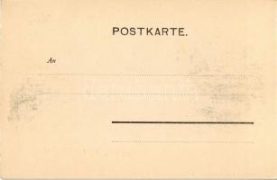 Salzburg vom Mönchsberg, bridge. Würthle & Sohn