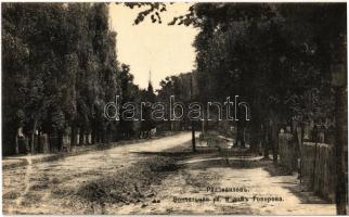 Radyvyliv, Radivilov; Railway street with Govorova house. Phototypie Scherer, Nabholz & Co.