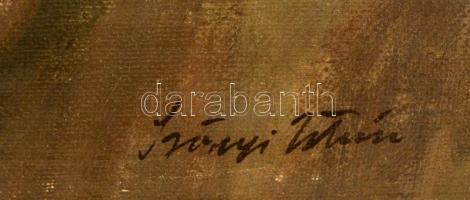 Szőnyi jelzéssel: Férfi portré. Olaj, vászon, 47×35 cm