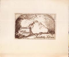 Komjáti Wanyerka Gyula (1894-1958): Ex libris rézkarc 24x21cm