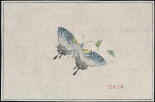 cca 1920 Pillangó, kínai színes fametszet, rizspapír, jelzett a dúcon, 21×13,5 cm