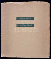 Somlyó György: Jegenyék a parton. DEDIKÁLT! Bp., 1955, Szépirodalmi Könyvkiadó. Kiadói papírkötés, kopottas állapotban.