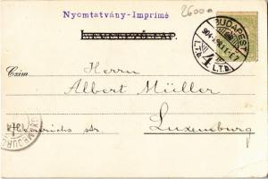 1904 Miskolc, Borsod vármegye címere, Erzsébet tér. Art Nouveau, floral, litho s: Zich (vágott / cut...