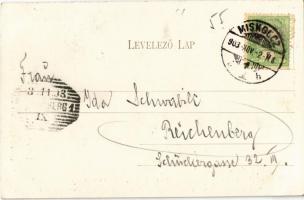 1903 Miskolc, Széchenyi utca, villamos, Rosenberg Gyula üzlete, Takarékpénztár, Lloyd szálloda. Kiad...