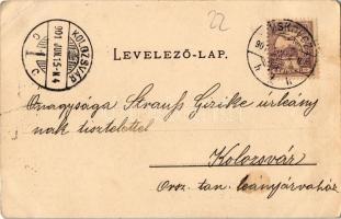 1901 Miskolc, Tapolca fürdő (Miskolctapolca, Görömbölytapolca), erdő. Kiadja Lövy József (EK)