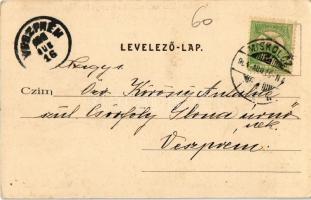 1904 Miskolc, Református leánynevelő intézet, az intézet külső képe és udvara. Kiadja Lövy József fi...