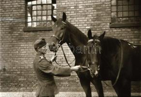 Katonai csoportképek és katonák lovakkal, 6 db fotónegatív, 4,5×6 és 8,5×11,5 cm közötti méretekben