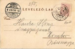 1899 Balatonföldvár, Németh villa, Schmidt villa, Szeifert villa, Atlétikai Club, Zrínyi szálloda. K...