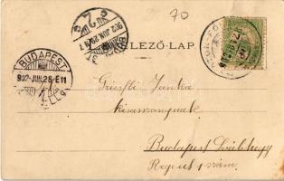 1902 Balatonföldvár, Gróf Széchenyi Pál "Eliette" nyaralója, Imre utca, villa. Kiadja Klös...