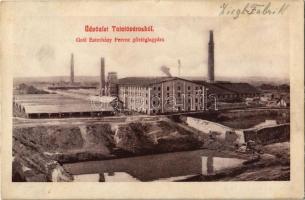 1917 Tata, Tata-Tóváros; Gróf Esterházy Ferenc gőztéglagyára. Kiadja Lindenberg Adolf 15. (fl)