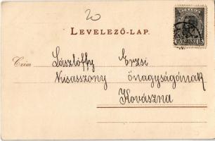 1899 Tata, Tata-Tóváros; Magyar népviselet, litho