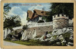 1913 Tata, Tata-Tóváros; Ugron Gábor villa. Kiadja Lindenberg Adolf (EK)