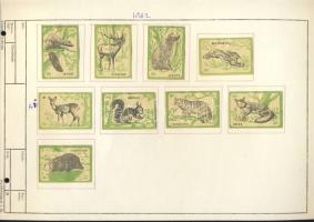 630 darabos magyar gyufacímke-gyűjtemény szépen rendezett, részben kiállítási anyag