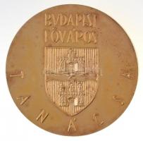 DN "Pro Urbe / Budapest Főváros Tanácsa" kétoldalas, aranyozott Ag emlékérem, peremén jelz...
