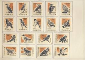 554 darabos szépen rendszerezett szlovák és szovjet gyufacímke-gyűjtemény albumlapokon