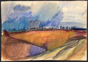 Somlai Vilma (1938-2007): Jön az eső, akvarell, papír, hátulján pecséttel jelzett, 31×43 cm