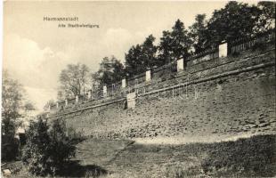 1909 Nagyszeben, Hermannstadt, Sibiu; Alte Stadtbefestigung / régi városfal. Kiadja Heinrich Meltzer / old city wall