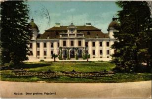 1916 Nekcse, Nasice; Gróf Pejacsevich kastély. Kiadja Antun Blau / Dvor grofova Pejacevic / castle (EK)